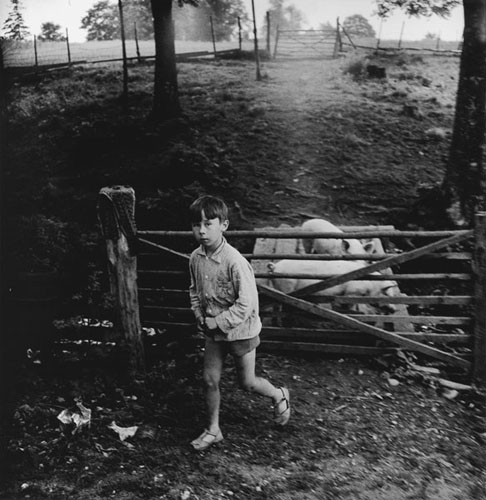 1972_Berniukas su kiaulem.jpg